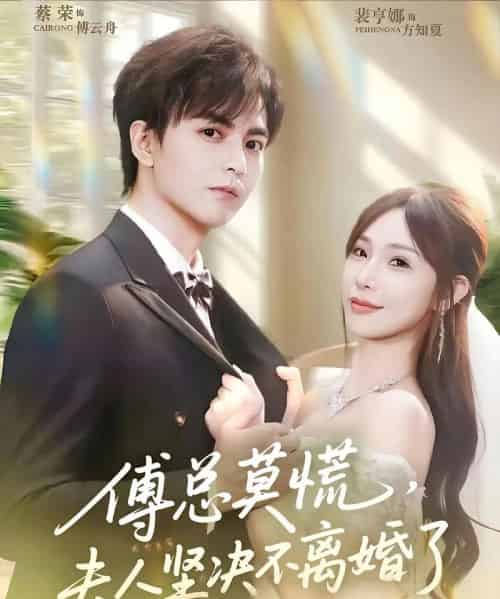 傅总莫慌夫人坚决不离婚了（70集）裴亨娜＆蔡荣-搜外项目网