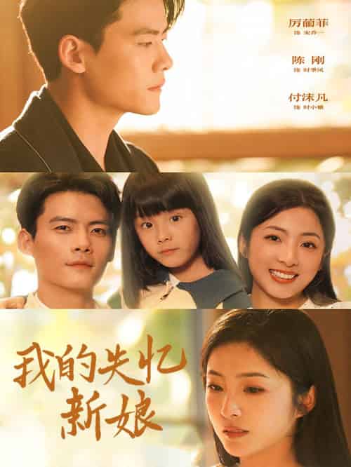 我的失忆新娘（83集全）陈刚-搜外项目网