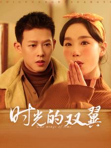 时光的双翼（94集全）柴昊辰＆张诗媛-搜外项目网