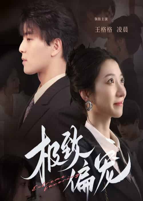 极致偏宠（40集）王格格-搜外项目网