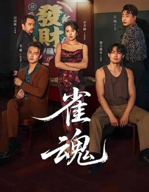 雀魂（60集全）申芳赫＆敖日格乐-搜外项目网