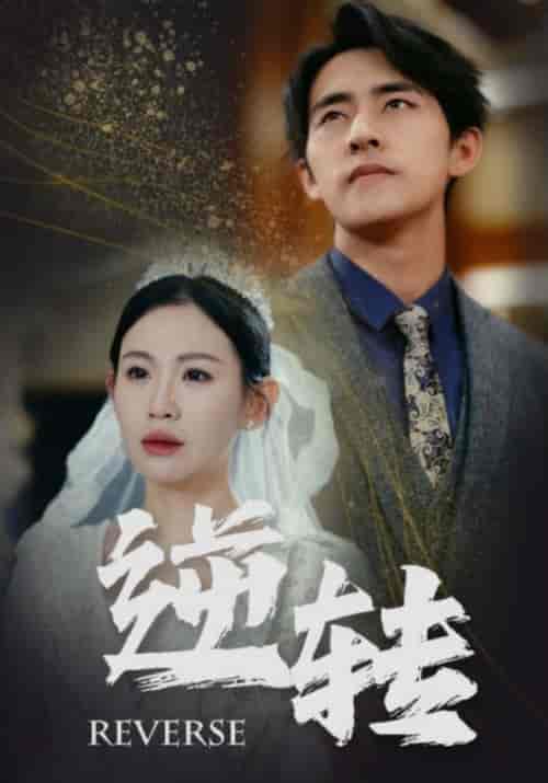 逆转（100集）赵珞姿＆维尼-搜外项目网