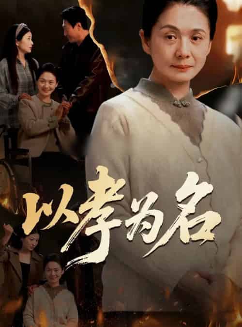 以孝为名（51集全）李敏＆张文辉-搜外项目网