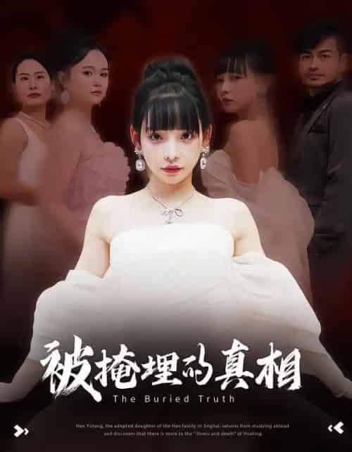 被掩埋的真相（30集全）谢盈＆徐海深-搜外项目网