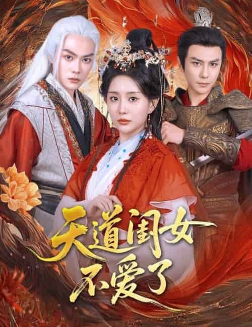 天道闺女不爱了（60集全）李智颖＆龚小钧-搜外项目网