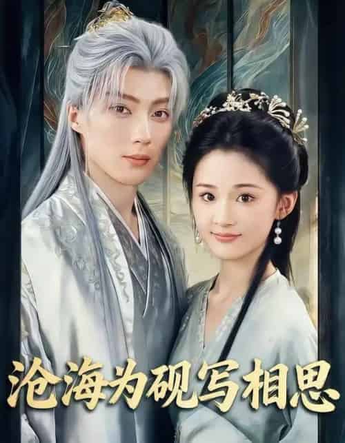 沧海为砚写相思(74集全)吉舒亦&刘兰博-搜外项目网