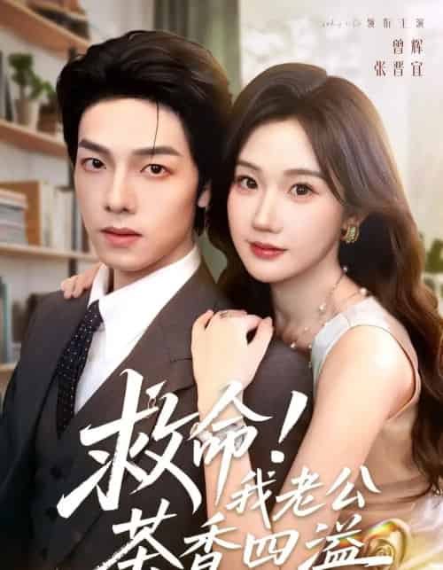 救命！我老公茶香四溢（76集）张晋宜＆曾辉＆申阳-搜外项目网