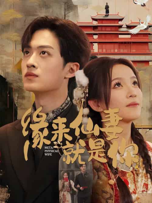 缘来仙妻就是你（74集全）孙梓铖＆馨方-搜外项目网