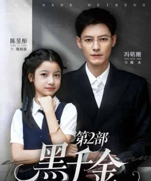黑千金第2部（70集全）冯铭潮＆陈昱彤-搜外项目网