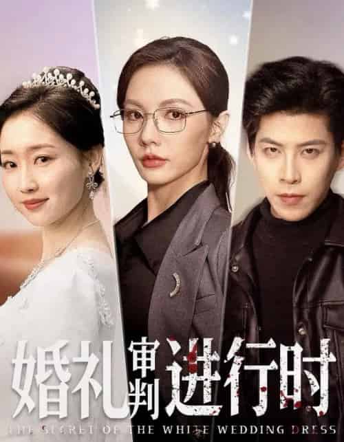 婚礼审判进行时（62集全）王为洋＆倪若芸-搜外项目网