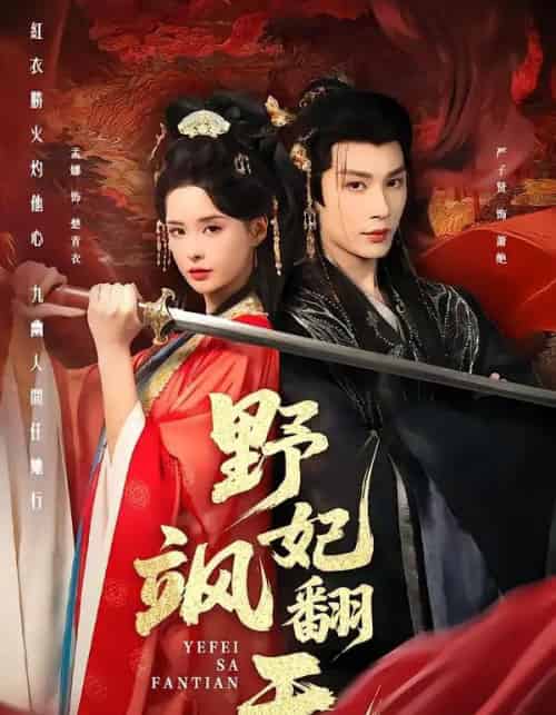 野妃飒翻天（62集全）严子贤＆孟娜-搜外项目网