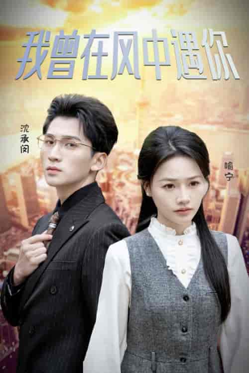我曾在风中遇你（30集全）李木杨＆曹千祎-搜外项目网