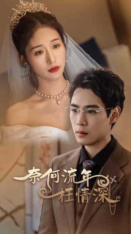 奈何流年枉情深（96集）宋楠-搜外项目网
