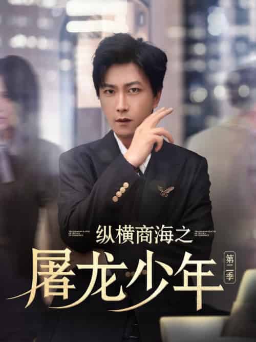 纵横商海之屠龙少年第二季（80集全）董佳妮＆李云鹏＆苏西＆金美希＆赵琪琪＆王亚宁-搜外项目网