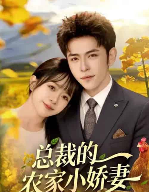总裁的农家小娇妻(118集全)杨彦光&林筱艾-搜外项目网