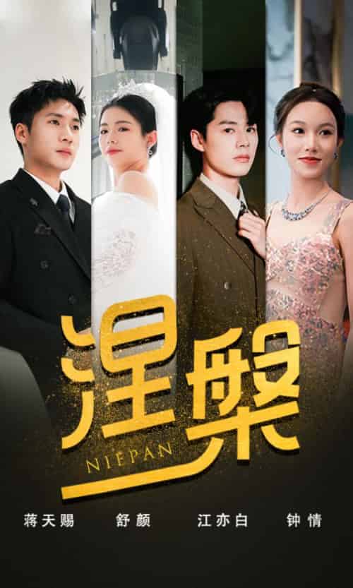 双重生后，江先生宠我上天＆涅槃（82集）-搜外项目网