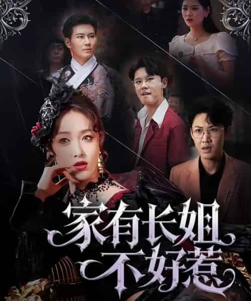 家有长姐不好惹（63集）张铭祥＆刘昌鑫（刘星辰）-搜外项目网