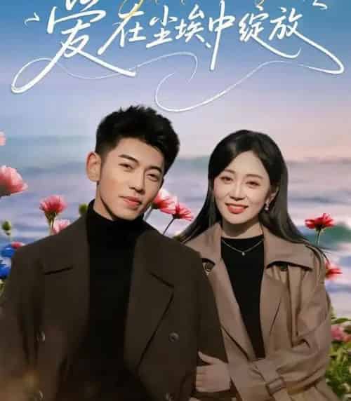 爱在尘埃中绽放(86集全)李泉成&姚宇晨-搜外项目网