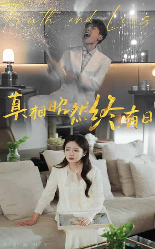 真相昭然终有日（37集）岳玥＆张磊-搜外项目网