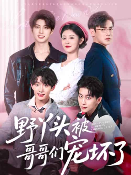 野丫头被哥哥们宠坏了（80集）李子锋＆刘盈-搜外项目网