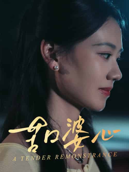 苦口婆心（50集）王艳秋-搜外项目网