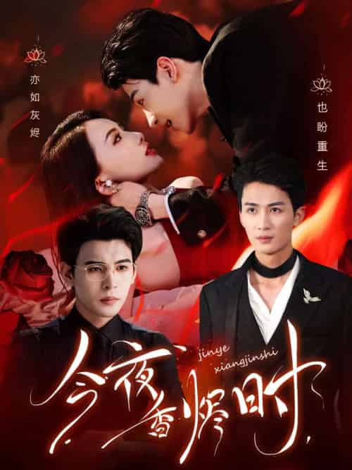 今夜香烬时(57集)靳旺&刘梓恒-搜外项目网