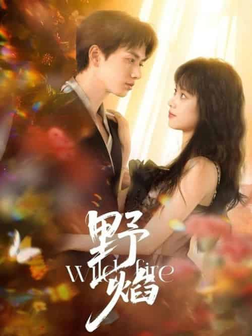 野焰（60集全）陈政阳＆郑千亦-搜外项目网