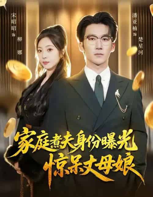 家庭煮夫身份曝光惊呆丈母娘(80集全)潘亚楠&宋昭昭-搜外项目网