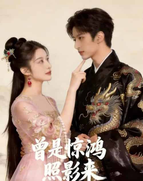 曾是惊鸿照影来（43集全）AI-搜外项目网