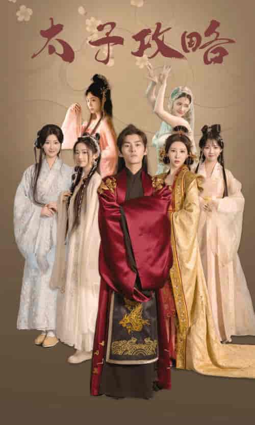 太子攻略（61集）穿越剧-搜外项目网