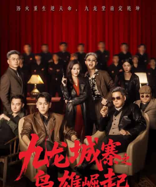 九龙城寨之枭雄崛起＆九龙局中局（71集全）龙泽＆南音-搜外项目网