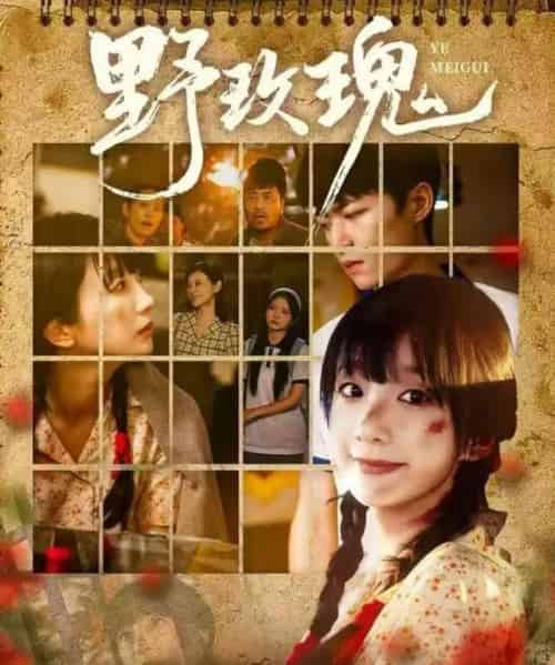 野玫瑰(82集全)钊瑞&象韵洁-搜外项目网