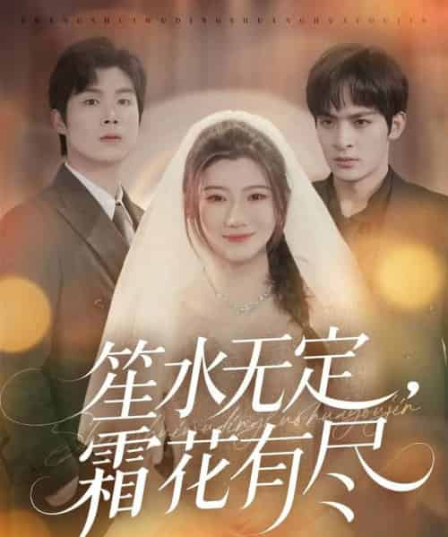 笙水无定，霜花有尽（64集全）丁海弘＆王玥伊-搜外项目网