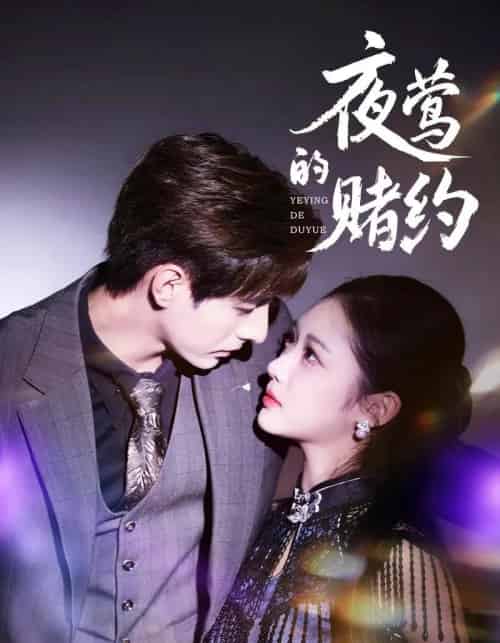 夜莺的赌约（71集全）李豪＆青雯-搜外项目网