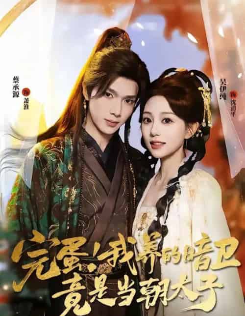 完蛋！我养的暗卫竟是当朝太子（60集全）蔡承源＆吴伊纯-搜外项目网