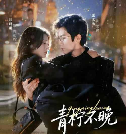 青柠不晚（78集全）郑晨雨＆张北淅-搜外项目网