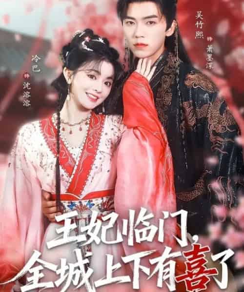 王妃临门，全城上下有喜了（66集全）吴竹熙＆冷巴（廖慧敏）-搜外项目网