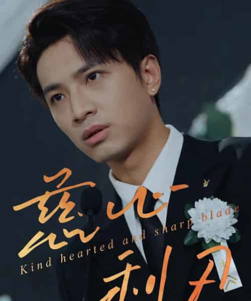 慈心利刃（30集）朱晓彤-搜外项目网