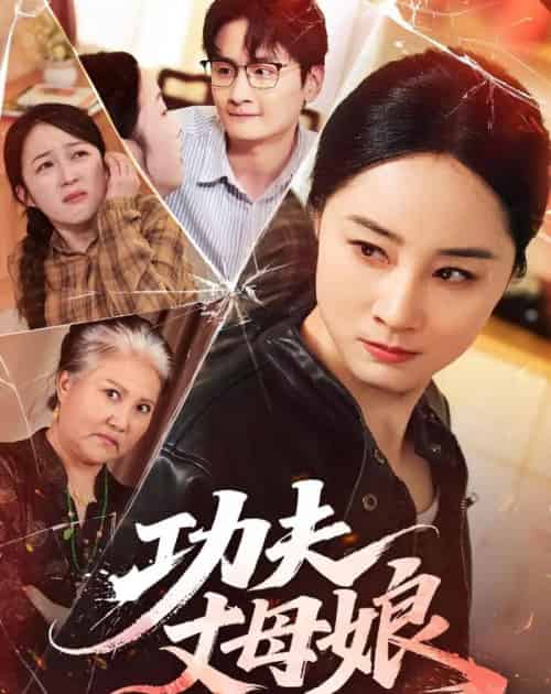 功夫丈母娘(55集全)龙馨悦&杨玉洁-搜外项目网