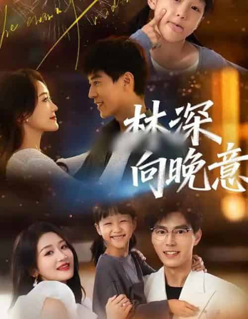 林深向晚意(70集全)翟中星&余紫瑄-搜外项目网