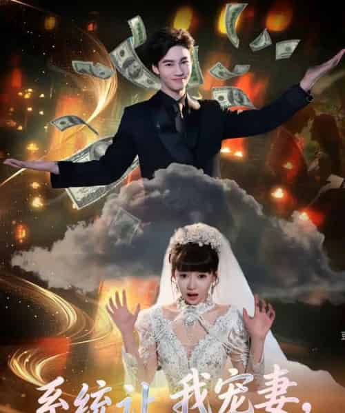 系统让我宠妻，我却靠她发家致富（92集全）郭怡凡＆向阳公主-搜外项目网
