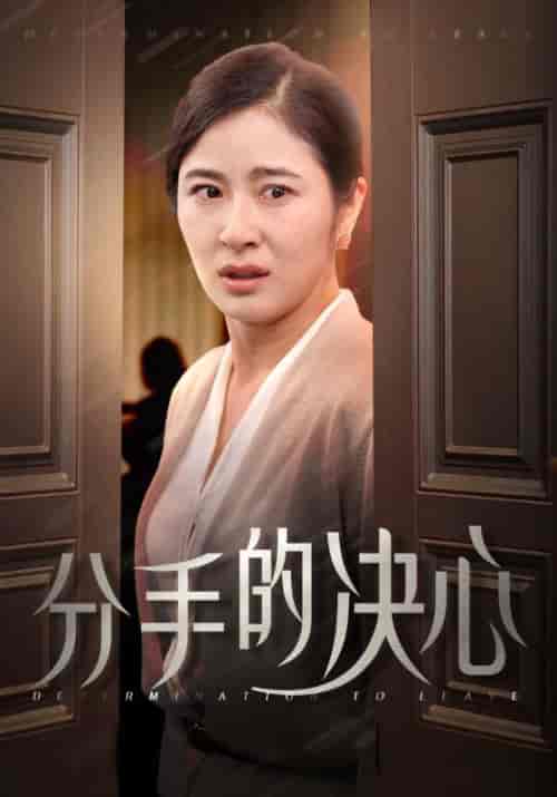 分手的决心（39集全）钟北海＆何金玉-搜外项目网