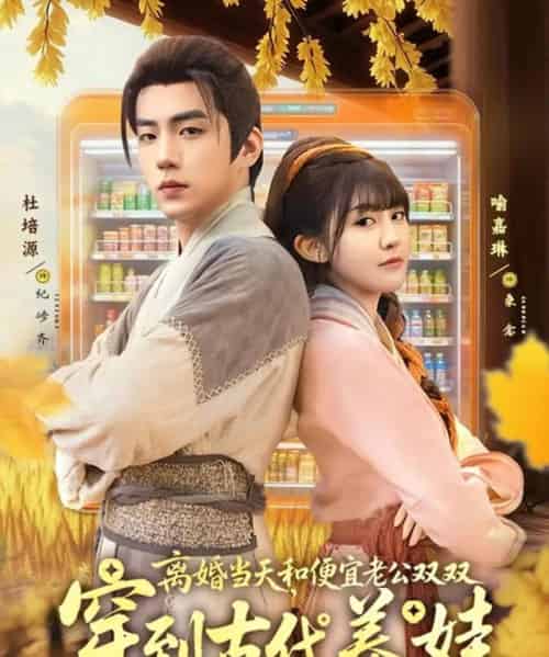 离婚当天,和便宜老公双双穿到古代养娃(71集全)杜培源&喻嘉琳-搜外项目网
