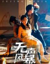 无声风暴（33集全）鄢子纶-搜外项目网