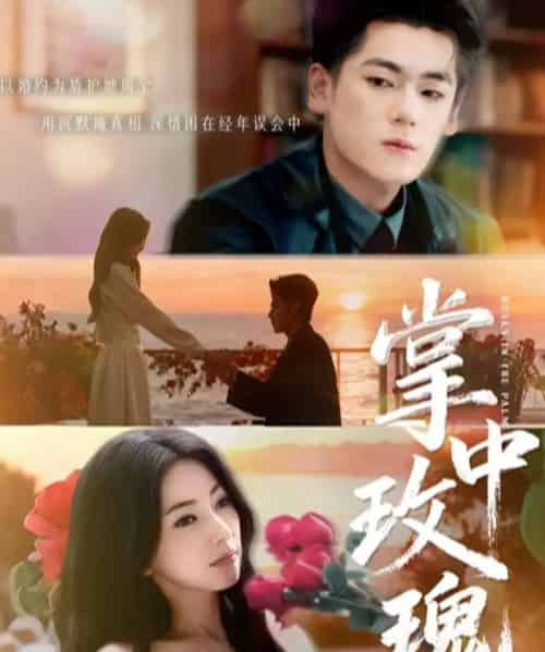 掌中玫瑰＆逃离你，拥抱你（60集全）聂基坤＆冶梓-搜外项目网