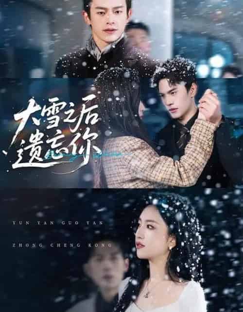 大雪之后遗忘你（82集全）夏玄子＆武伯言-搜外项目网