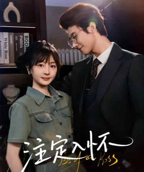 注定入怀（70集）淮文＆柳佳希-搜外项目网