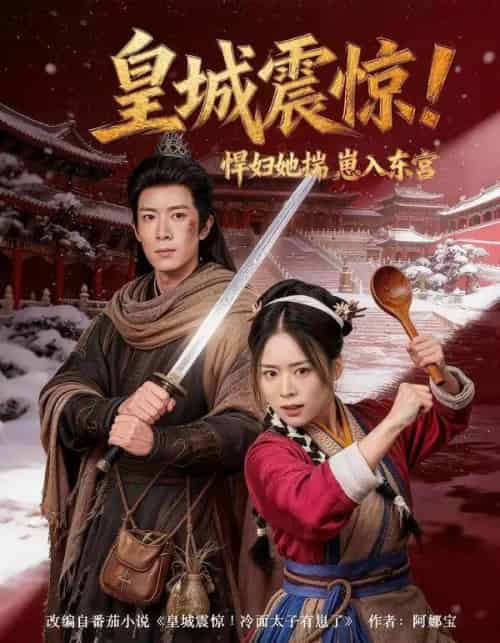 皇城震惊！悍妇她揣崽入东宫（53集全）向星雨＆江十安-搜外项目网