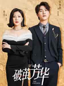 破茧芳华（80集全）-搜外项目网