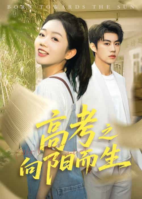 高考之向阳而生（43集全）罗央央＆刘锟泓-搜外项目网